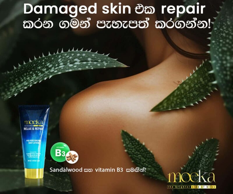 Relax & Repair - Image 6